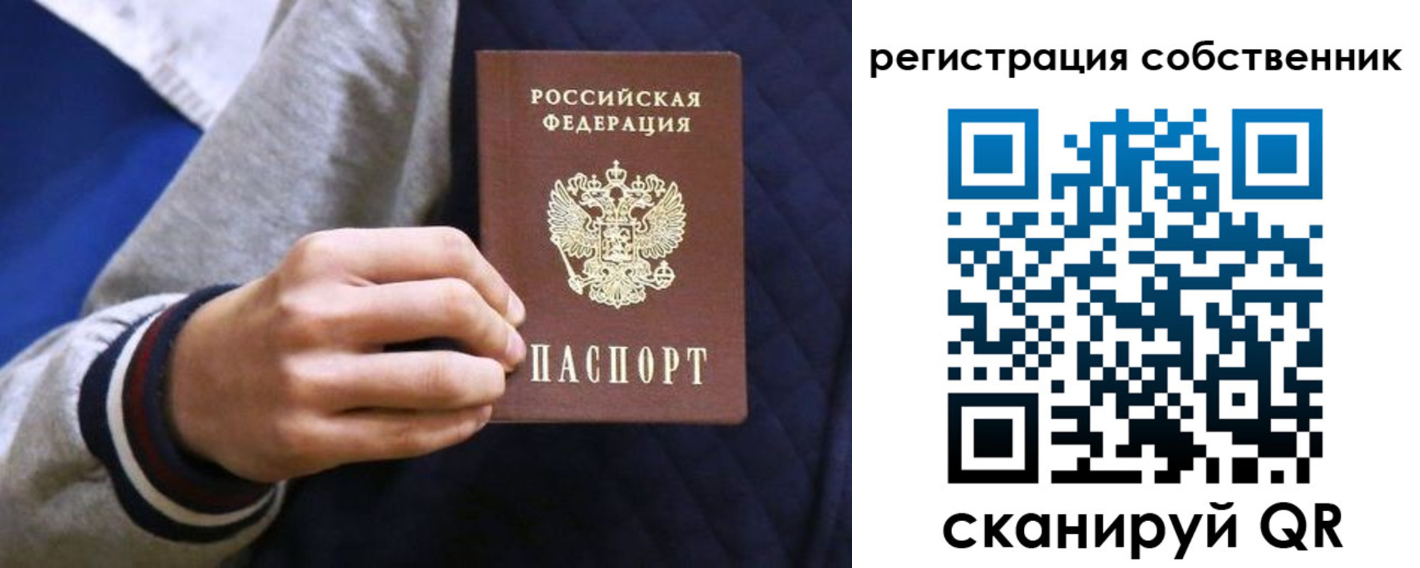 прописка поиск в Ясном